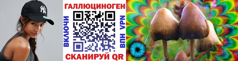 Купить закладки  Павлово  Галлюциногенные грибы Psilocybe 
